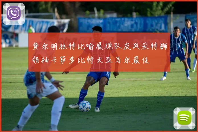 费尔明独特比喻展现队友风采特狮领袖卡萨多比特犬亚马尔最佳