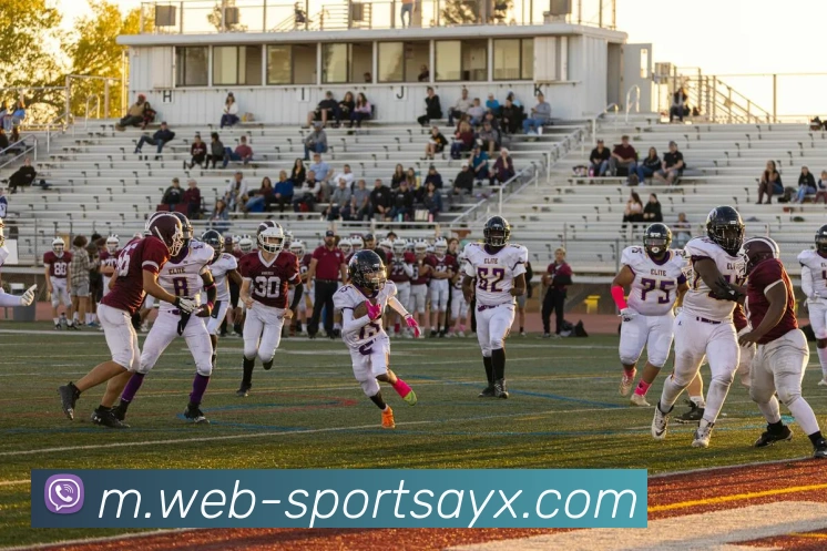 爱游戏平台生态图