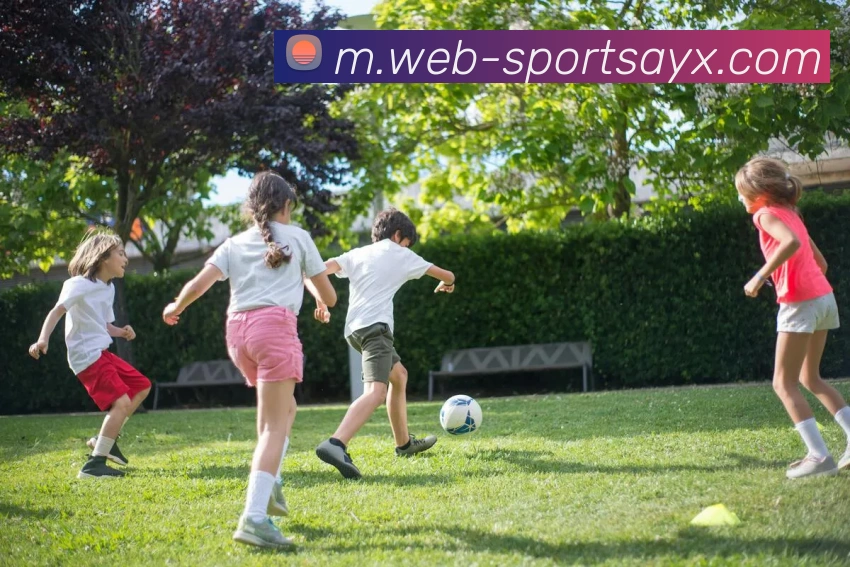 爱游戏APP 封面图